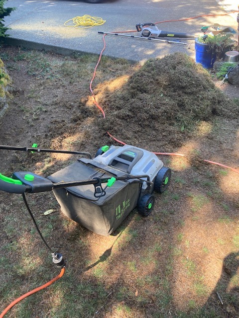 Electric dethatcher sitting on a patchy lawn next to a large pile of brown thatch, with an extension cord running across the grass