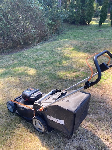 WORX cordless electric mower on the lawn of a multi-unit rental complex, with mixed green and dry grass and tall evergreens in the background