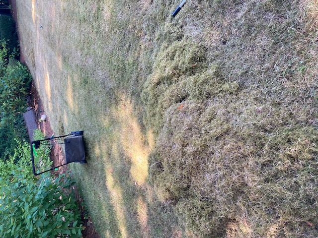 Thatch and moss raked into piles across a lawn after a dethatching job